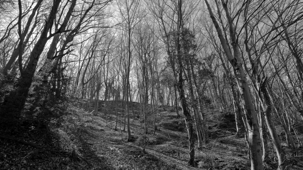 clic sur le miniatures