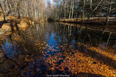 Visitez la galerie Reflets et Jeux de Miroirs