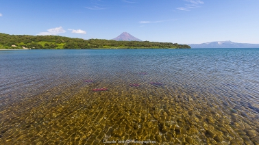 Visitez la galerie des Paysages