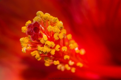 Visitez la galerie chutes de gouttes d&lsquo;Eau