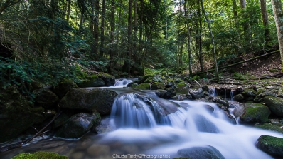 Visitez la galerie Cascades et cascatelles