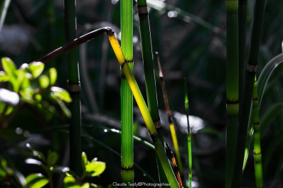 Visitez la galerie Matières et Textures d&lsquo;Eau