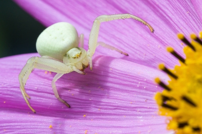 Visitez la galerie Reflets et Jeux de Miroirs
