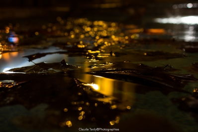 Visitez la galerie Matières et Textures d&lsquo;Eau